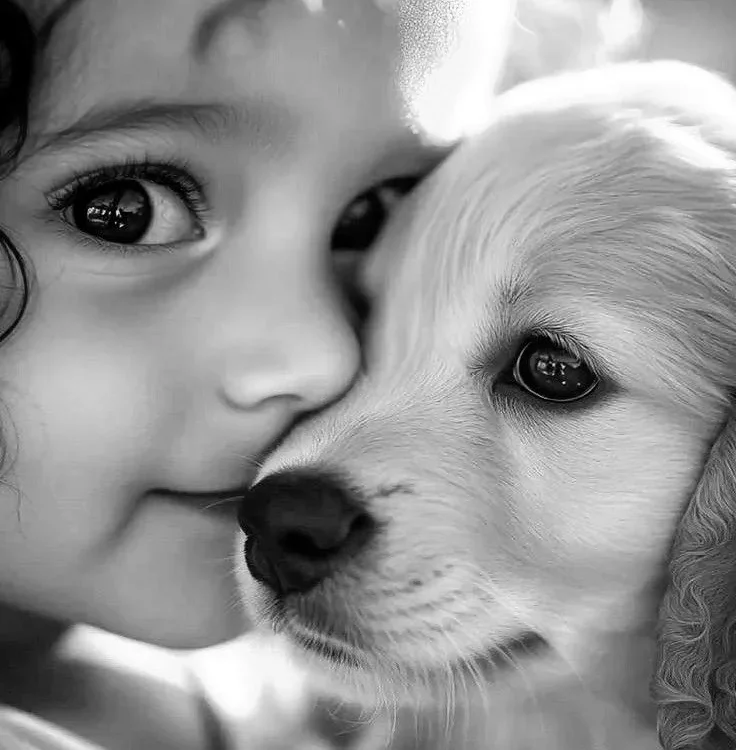 ¿Es Tiempo De Poner A Dormir A Mi Mascota? Una Guía Compasiva Para Una Decisión Difícil 5 Es Tiempo De Poner A Dormir A Mi Mascota